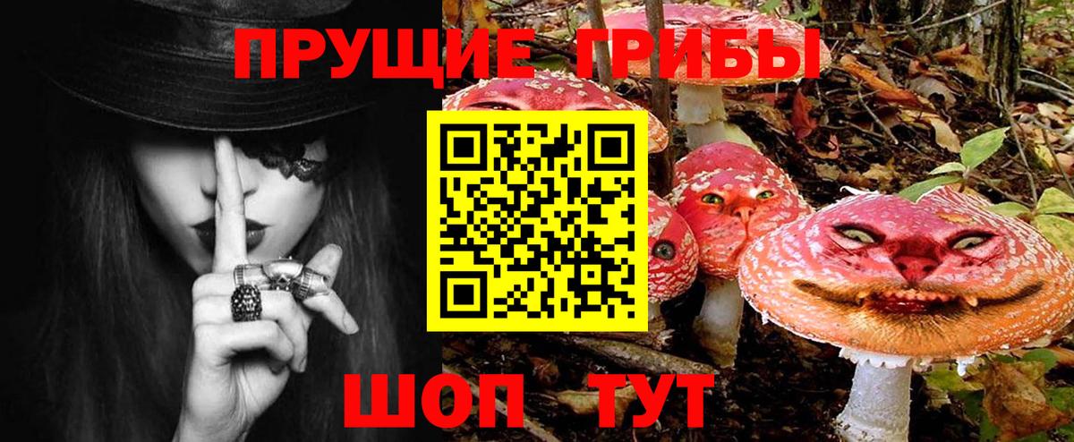 Моздок  цена   Вход с VPN  Галлюциногенные грибы прущие грибы 