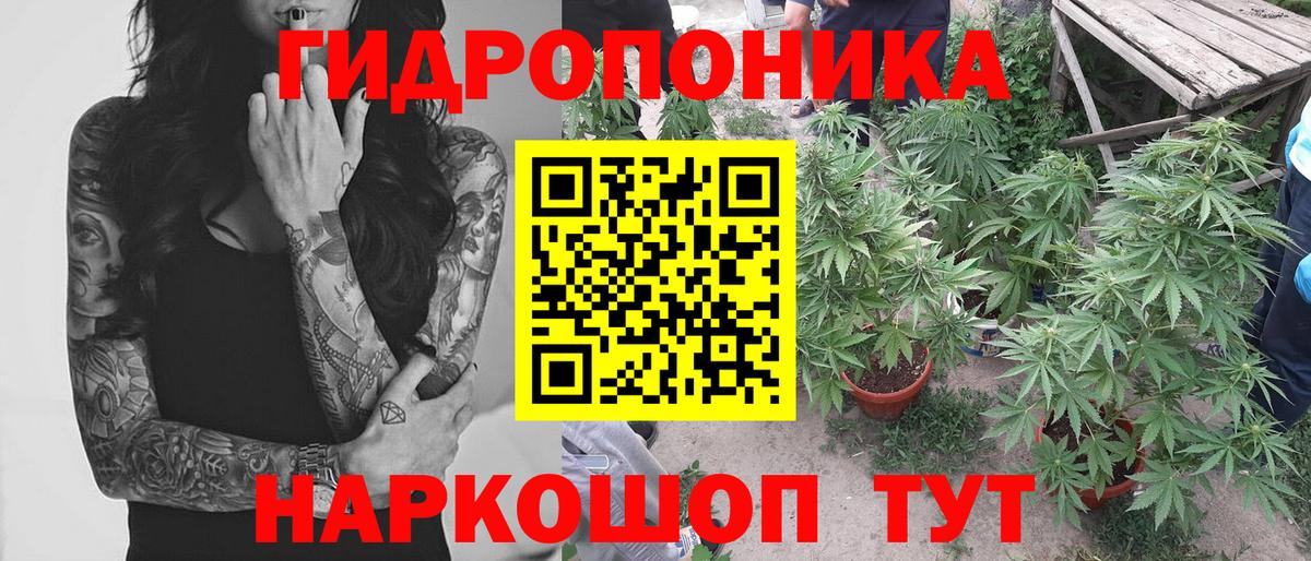 Моздок  Бошки марихуана Ganja  Каннабис семена  Канабис сатива  Вход с VPN  Конопля план 